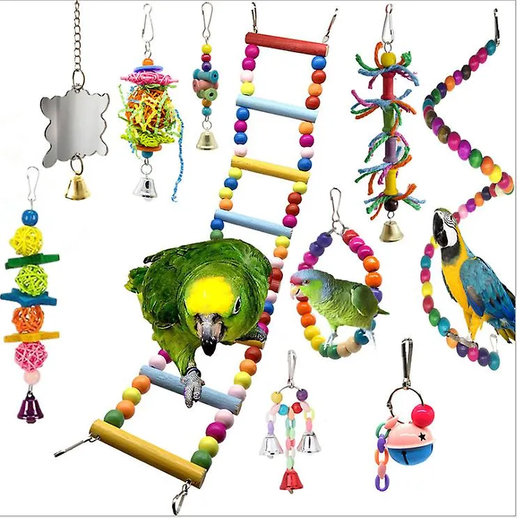 10pcs parrot toys set, ladder & bell,Colorful Balls AZ13937