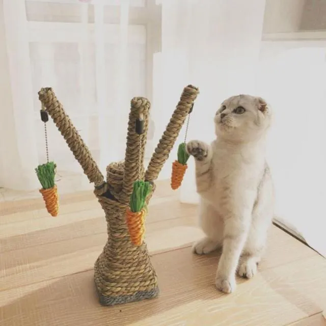 Cat Scrather Tree with hanging carrots