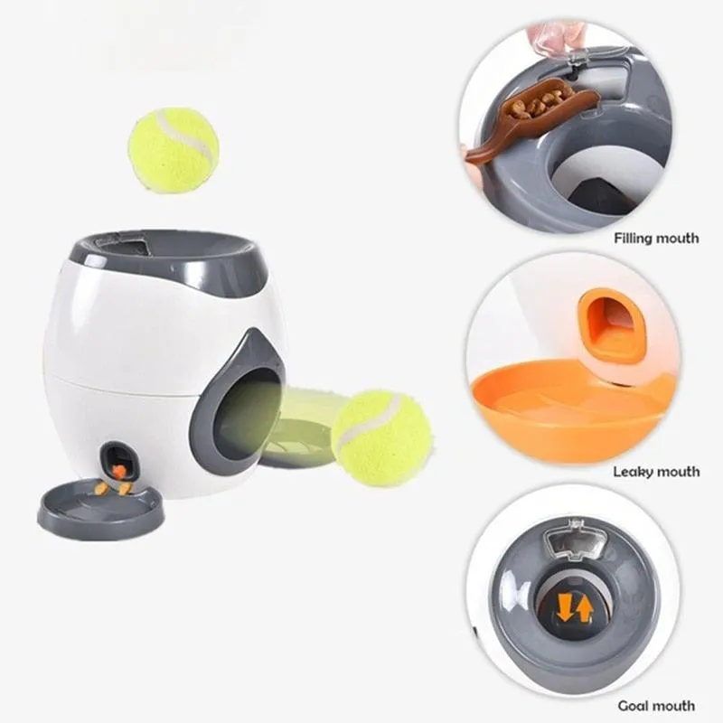 Dogs Tennis Ball's Reward Machine