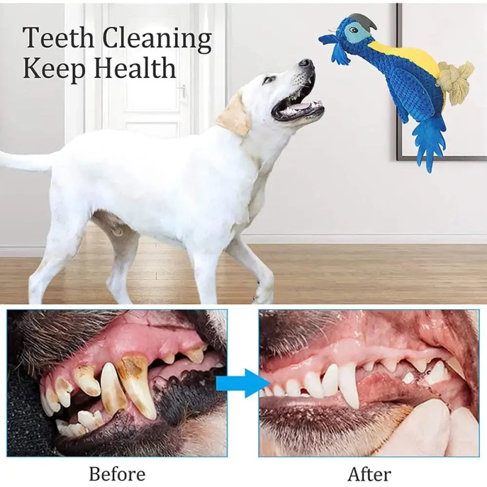 Durable Squeaky Teeth Cleaning Stuffed Embroidery Parrot Dog Toy