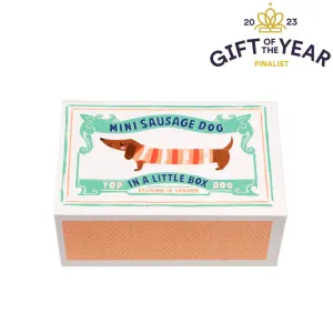 Mini Sausage Dog In A Little Box