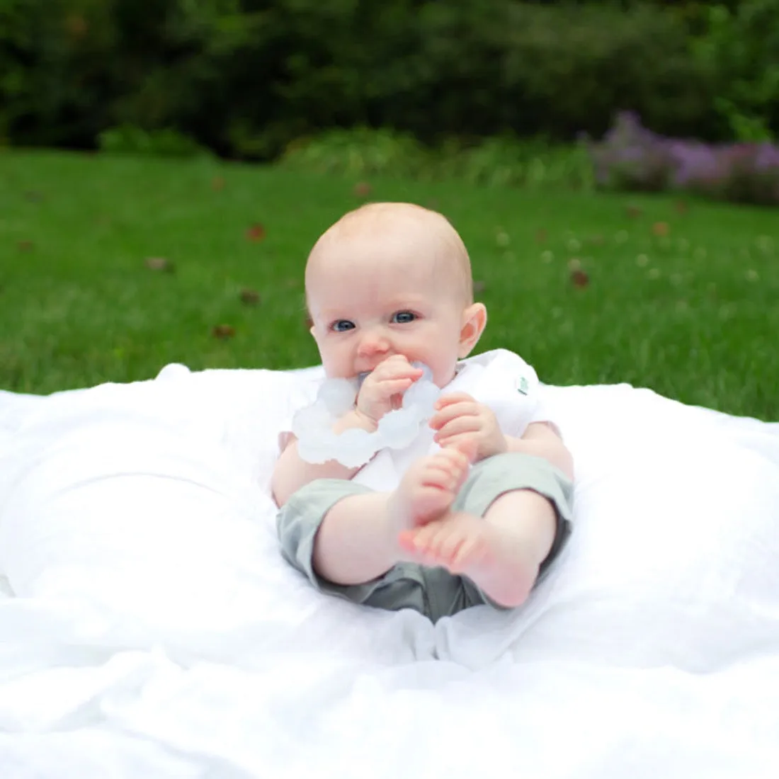 Silicone Ring Teether by Green Sprouts