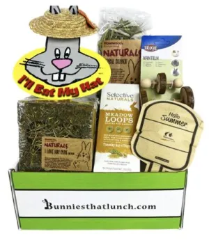 Summer Fun Box