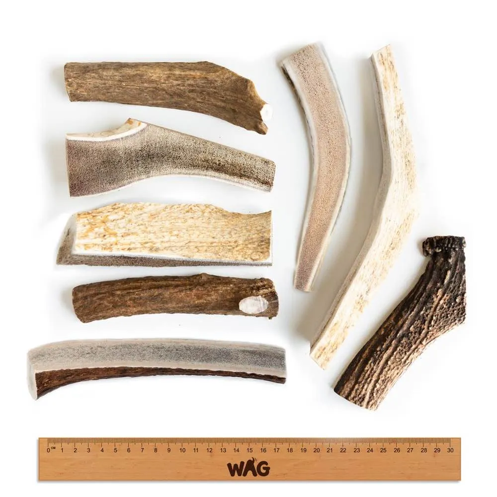 WAG Whole Deer Antler Grain-Free Dog Treat